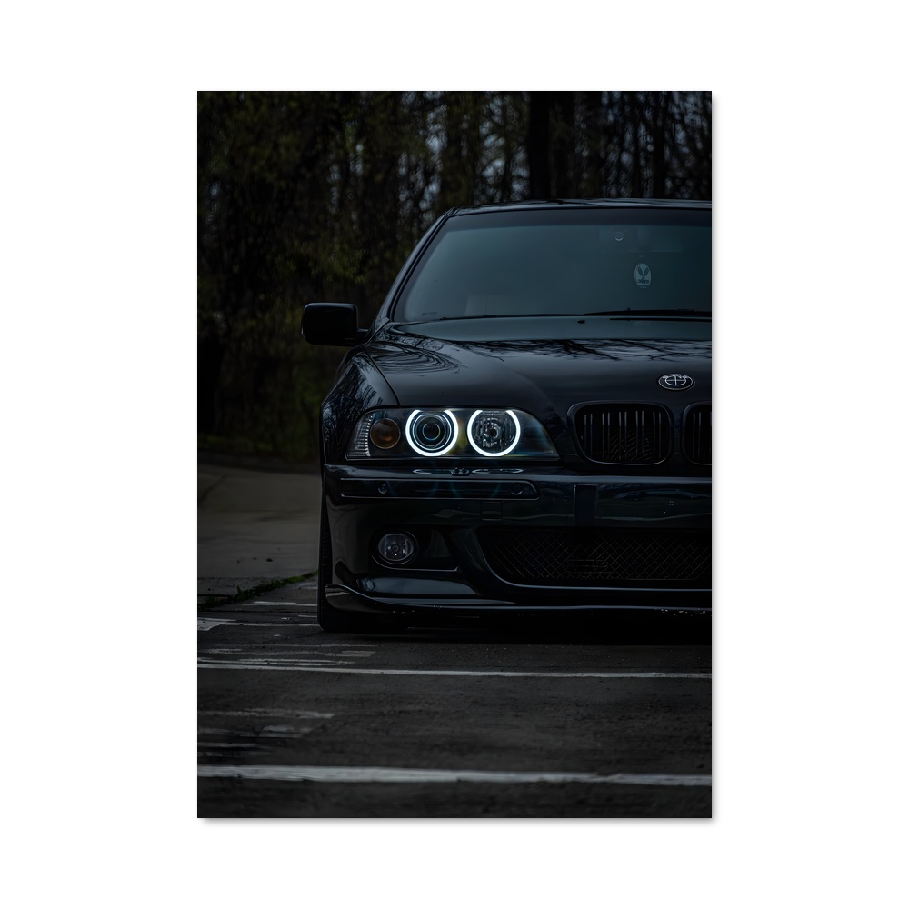 Poster Turbo Euphoria
